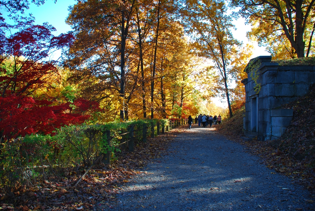 DSC_4724.JPG